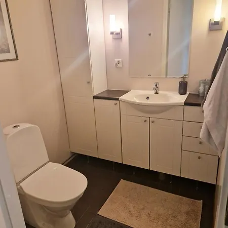 Apartamento Arctic Aurora In A Traditional Finnish Rovaniemi
